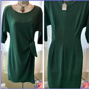 Signature by Robbie Bee! PS sz turquoise green dress